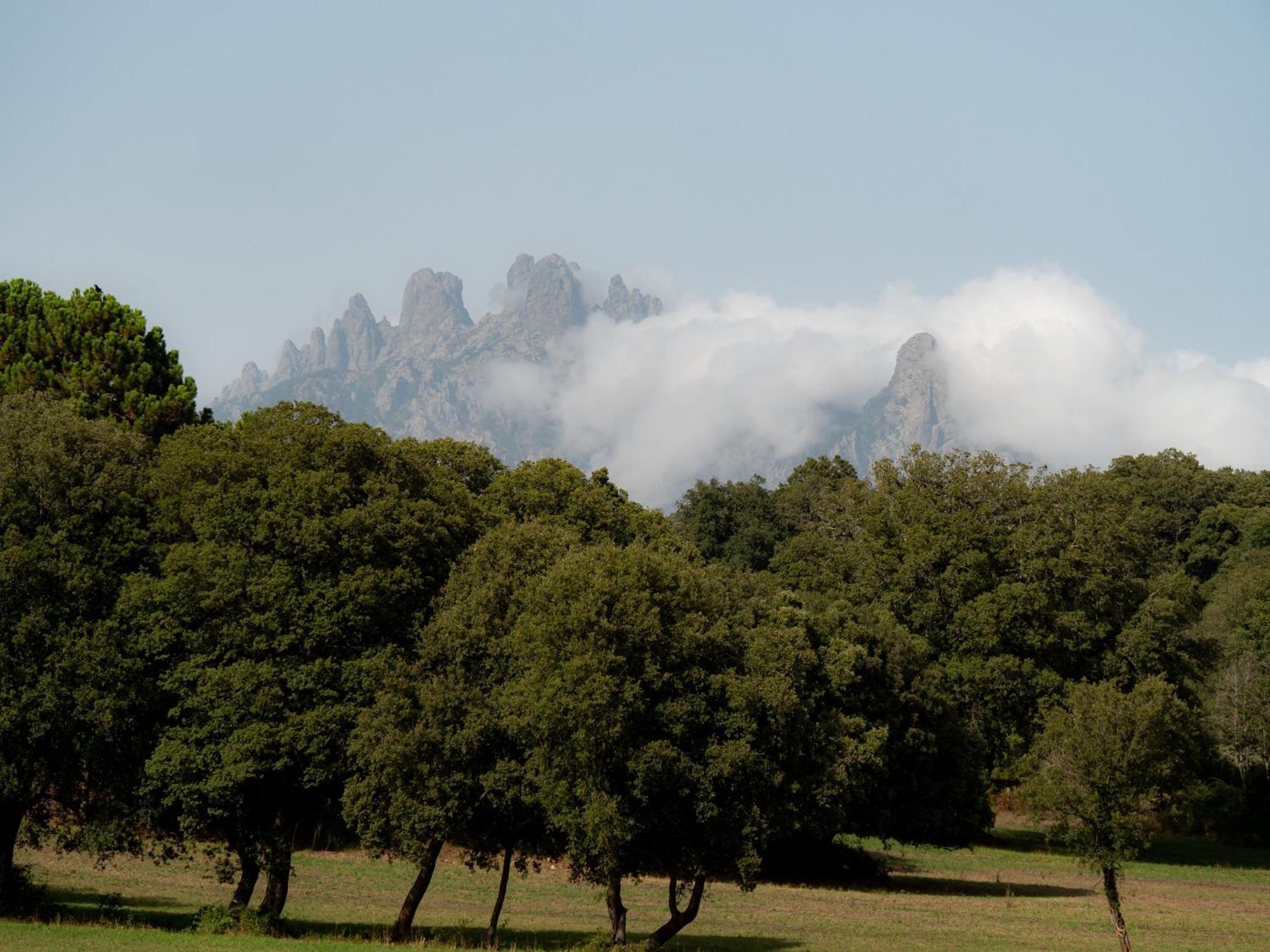 Village Del Mar Solaro Екстер'єр фото