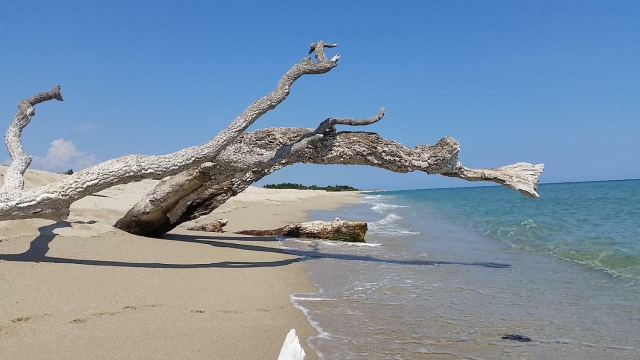 Village Del Mar Solaro Екстер'єр фото